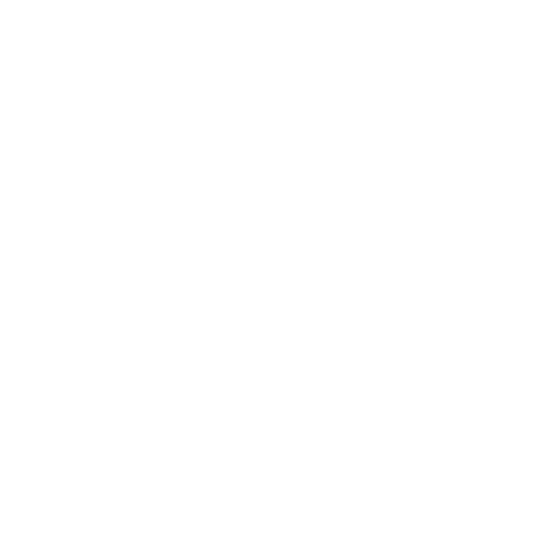 Check List Icon